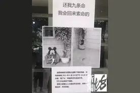 不寒而栗！沪上小区发生疑似飞镖射猫事件，监控拍下痛心一幕图片