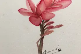 手绘简单又好看的鸡蛋花，三步就能完成图片