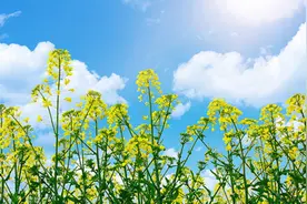 你爱的人经常“失联”，如此做，你就赢了图片