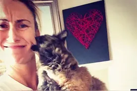 惨不忍睹：与猫合照的大型翻车现场，有您熟悉的一幕吗？图片