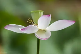 吴亦凡从“顶流”到“顶丑”告诉我们：时代再变，德不会变图片