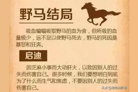 工作没有累垮我，但自己打垮了自己，警惕职场的“野马效应”图片
