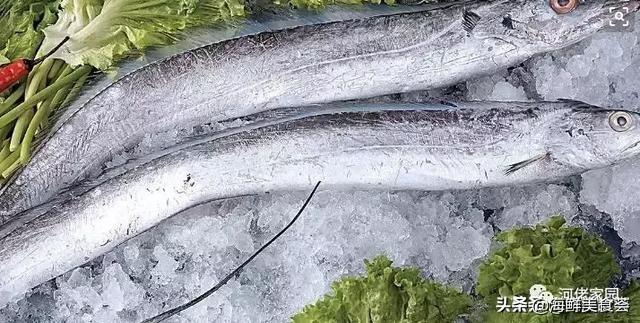 本港海鲜和外港区别 2026年本港海鲜和外港区别大吗