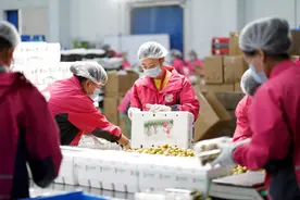 两大“卖菜”巨头PK：一个两年亏损51亿，一个三年烧光68亿图片