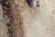 搞笑GIF：哥们，你可真会找位啊，还不赶紧站起来图片
