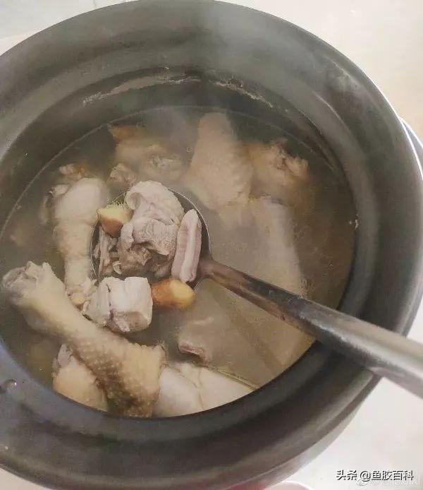 鲨鱼骨煲汤的做法大全 2026年鲨鱼骨煲汤的做法大全儿童