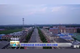 平原桃园街道农民成居民　激活小城镇图片