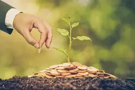 基金连跌三礼拜了，还能涨回来吗？图片