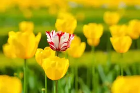 中小企业权力管理图片