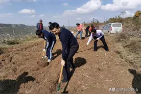 秋高气爽日，植树正当时图片