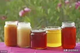 土蜂蜜被国人推崇，为什么不能走出国门，被国际认可呢？图片