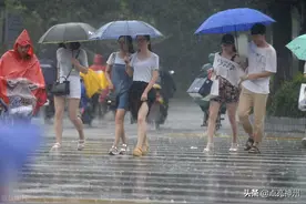 所有车次停运，怎么都回不了河南！我和11岁儿子艰难的回家之旅图片