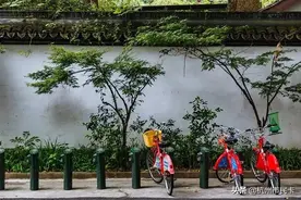 收藏！在杭州，这些全部免费！看完省下一大笔钱！图片