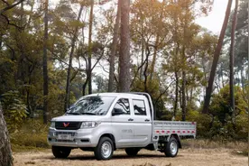 响应汽车下乡号召，五菱打造新卡，高强度钢超84%，5.28万图片