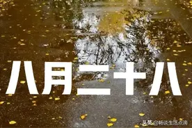 10月4日，农历八月二十八，老话说："酉月酉日多雨水"，雨天到了图片