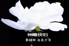 金庸武侠小说《神雕侠侣》第八回，原著朗读，音频格式视频封面