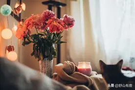 人到五十才顿悟，凡事皆有“命数”，一切不能强求图片