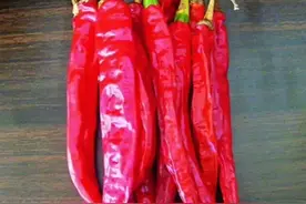 十三种干辣椒的简介图片