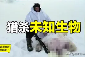 15年前，一头被猎杀的未知北极生物，再次揭开了黑萨满传说图片
