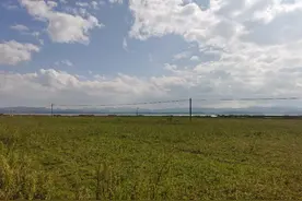 贵州的高原明珠，靠近天空的美景，草海，大风车图片