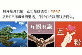 关于头条号平台严厉打击恶意引导互粉行为的公告图片