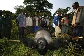 必看！为什么要提倡二手手机回收，看完你就懂了图片