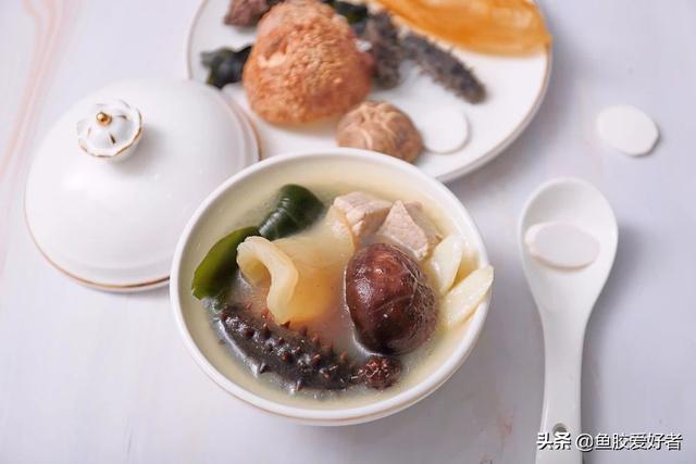 大口和豆仁鱼胶 2026年豆仁胶和大口鱼胶哪种好