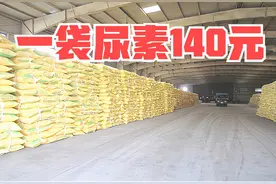 一袋100斤尿素卖140元，贵不贵？7月份尿素是涨是降？图片