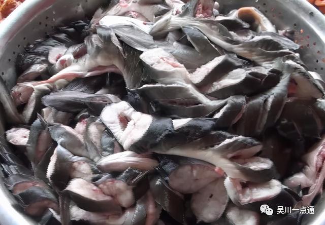 吴川有花胶吗 2026年吴川市花