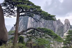 安徽南北差异表现在哪些方面？图片