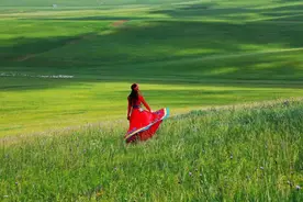 美妙夏日，世界四大草原之一，最好吃的羊肉，锡林郭勒自驾攻略图片