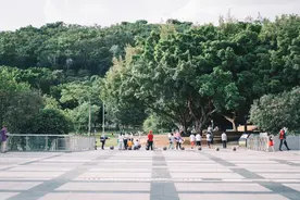 深圳市最北公园，耗费5年时间筹建，成为深圳最热门公园之一图片