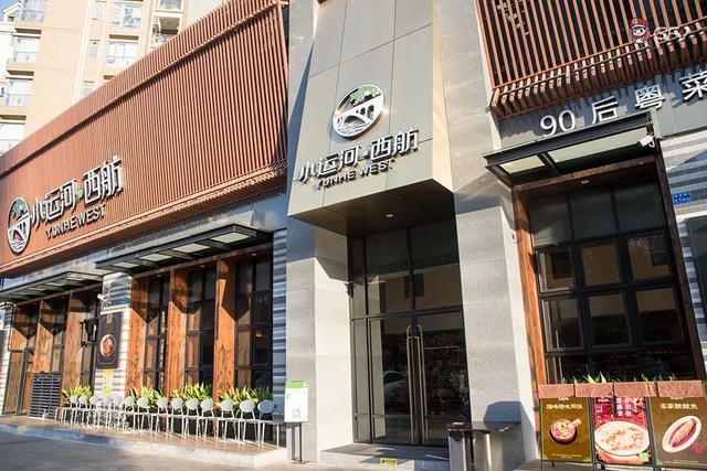 奢华花胶鸡煲 2026年花胶鸡煲大全