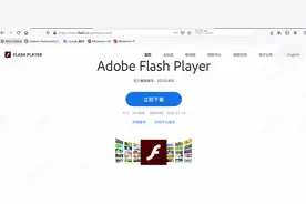 赚钱可以，但是请保留一点底线。Flash Player插件中国地区特供版图片