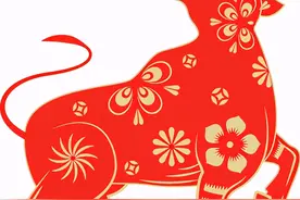 井延坡工作室丨新春将至，“犇”向新征程图片