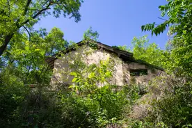 在终南山发现两间小房子，是一位修行人的茅棚，这个地方非常隐蔽图片