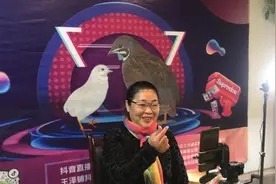 年酬百万诚招芦丁鸡产业区域代理商(合伙人)图片