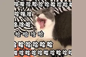 四六级考试神翻译盘点！你们的想象力啊，超乎想象·······图片