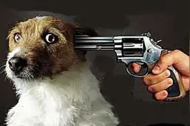 禁食狗肉的地方有哪些？图片