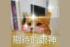 看后大跌眼镜！“网红”护牙美牙产品真有效？图片