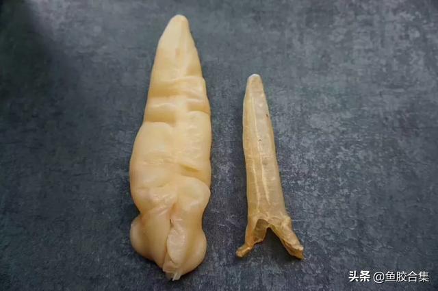 花胶浸泡后怎样的 2026年花胶泡好了怎么吃 花胶浸泡后怎样的 2026年花胶泡好了怎么吃