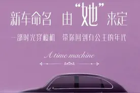 未曾官方存在过的四门甲壳虫｜四万说车图片