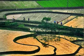 农村5类老把式，各有绝活技艺，曾被誉为行家里手，如今面临消失图片