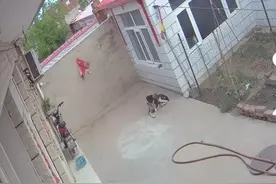 怎样挑选家用监控摄像头？100个人的体验总结，分享给各位大佬图片