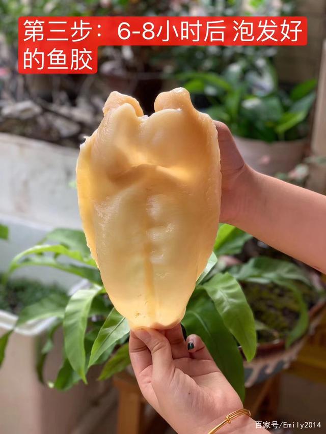 花胶 酸性  碱性 2026年花胶 酸性 碱性食物
