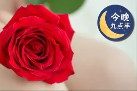 2856位女主播涉黄，会员超600万！这个经营色情直播App团伙被公诉图片