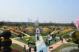 五一假不离沪怎么过，为你盘点上海各大郊野公园，游玩攻略图片