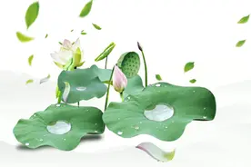 二十四节气——夏至图片