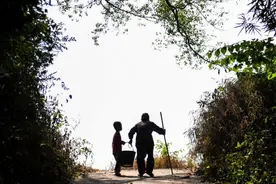 对不起，世间的最后一程，没能让你安静地走完图片