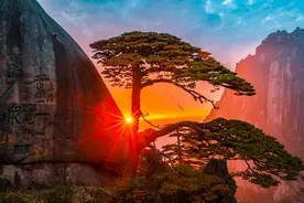 黄山旅游章德辉：变，从“压力山大”到“活力大山”图片